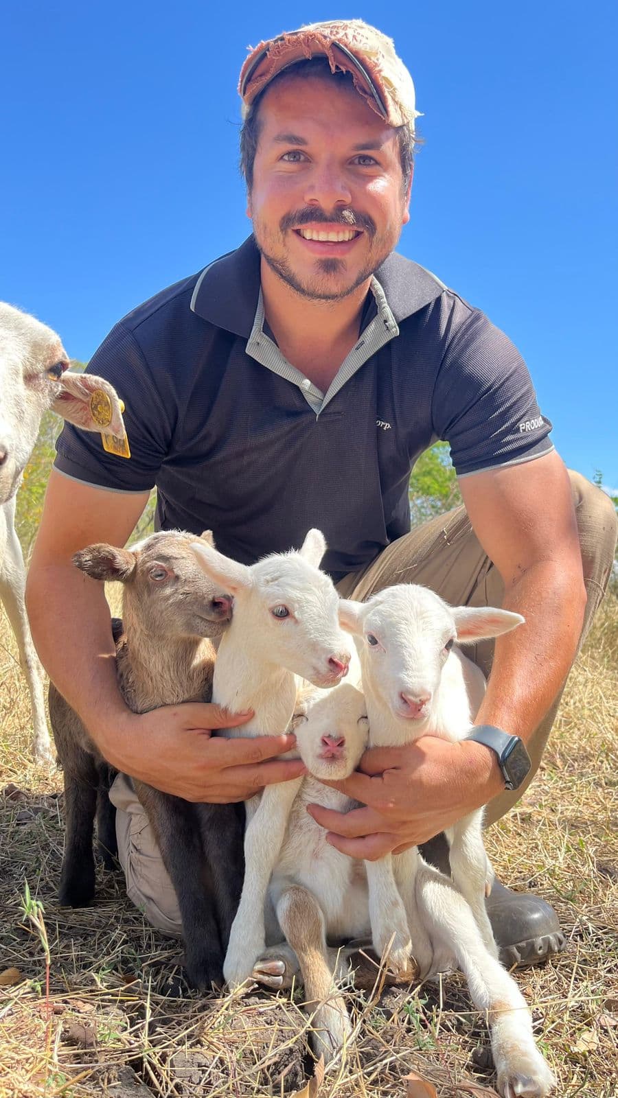 Animales bebés en el rancho